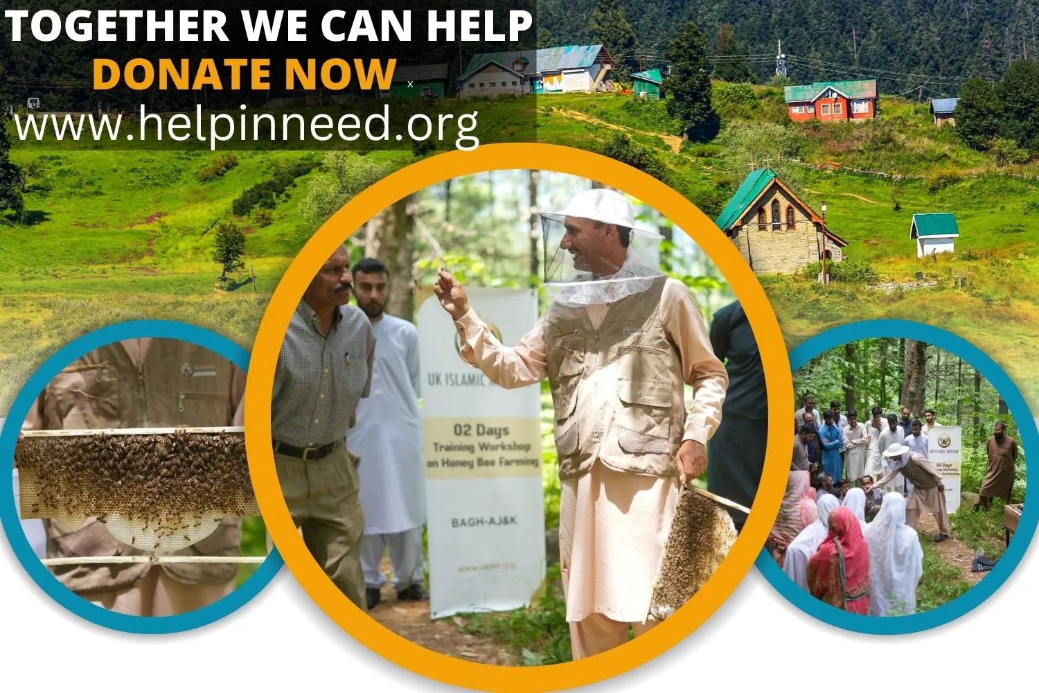 Sustainable Beekeeping: Empowering Farmers in Bagh, Azad Kashmir