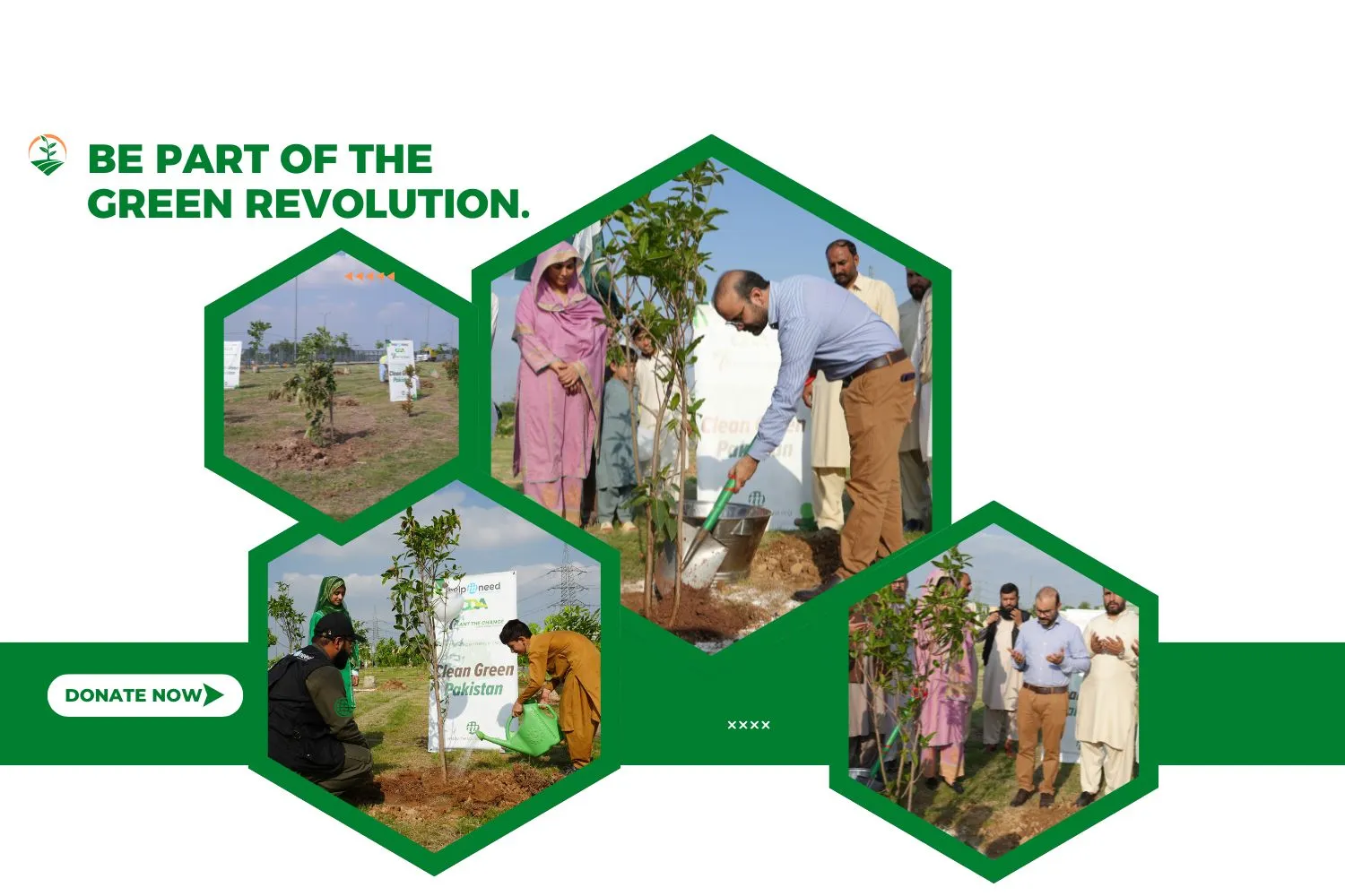 Green Avenue Initiative Launched: A Greener Pakistan Begins Here! 🌱🇵🇰